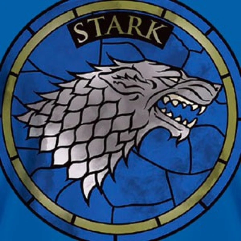 Game Of Thrones - T-Shirt Maison Stark - Bleu 1 Game Of Thrones - T-Shirt Maison Stark - Bleu