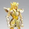 Myth Cloth Hyoga Armure D'or Du Verseau