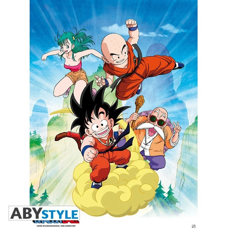 Poster Dragon Ball Groupe 1 Poster Dragon Ball Groupe