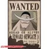 Poster Wanted Barbe Blanche
